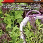 П Горчица салатная "Баварская" смесь 0,5г Аэлита