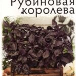 П Базилик "Рубиновая Королева" 0,2г Аэлита