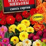 Цветы одн. Георгина "Махровые миньоны" смесь 7шт Аэлита