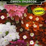 Цветы одн. Вербена "Кварц смесь" 7шт Аэлита
