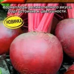Свекла "Бикорес" 3г Аэлита