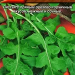Руккола "Кореянка" 0,3г Аэлита