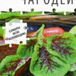 П Амарант "Чародей" 0,3г Аэлита