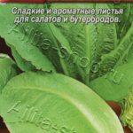 Салат "Фондаго" 0,5г Аэлита