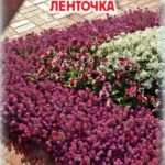 Цветы одн. Алиссум "Пурпурная Ленточка" 10шт ЕС