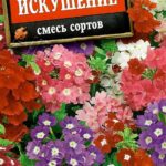 Цветы одн. Вербена "Искушение" смесь 40шт Аэлита