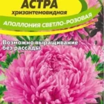 Цветы одн. Астра "Аполлония" светло-розовая 0,2г СА
