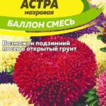 Цветы одн. Астра "Баллон Смесь" 0,05г СА