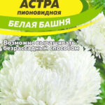 Цветы одн. Астра "Белая башня" 0.2 г. СА