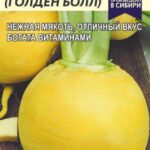 Репа "Золотой Шар" 1г СА