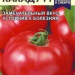 Томат "Какаду F1" 10шт СА