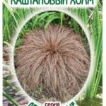 Цветы мн. Осока "Каштановый Холм" 5шт