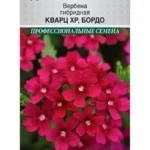 Цветы одн. Вербена "Кварц ХР Бордо" гибридная 5шт ЕС