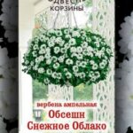 Цветы одн. Вербена "Обсешн Снежное облако" ампельная 3шт ЕС