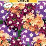 Цветы одн. Вербена "Счастливые Глазки" смесь 10шт ЕС