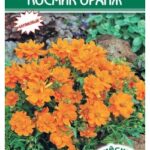Цветы одн. Космос "Космик Оранж" 10шт ЕС