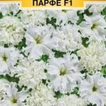Цветы одн. Петуния "Сливочное Парфе F1" 10шт ЕС