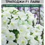 Цветы одн. Петуния "Трилоджи Лайм F1" 3шт ЕС