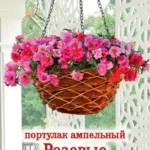Цветы одн. Портулак "Розовые Жемчужины" 5шт ЕС