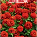 Цветы одн. Цинния "Красная Дорожка F1" 0,1г ЕС