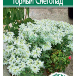 Цветы одн. Эуфорбия "Горный Снегопад" 10шт ЕС