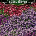 Цветы мн. Обриета "Каскадная" смесь 0,05г Аэлита