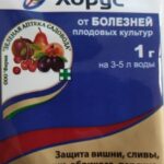 Фунгицид "Хорус" (от болезней плодовых) 1г.