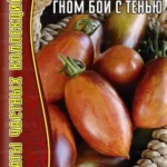 Томат "Гном Бой с Тенью" 10шт (Ред.Сем)
