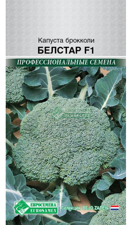 Капуста брокколи "Белстар F1" (10 шт) ЕС