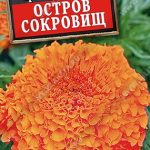 Цветы одн. Бархатцы "Остров сокровищ" прямостоячие 0,1г Аэлита