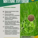 Газон "Мятлик луговой" 0,5кг.