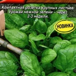 Шпинат "Великан" 3г Аэлита
