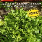 Салат "Венский листовой" 0,5г Аэлита 