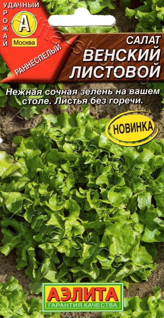 1qjkodr05mp9tvmy8zizza2uplcqe3l7 Салат "Венский листовой" 0,5г Аэлита — изображение 1