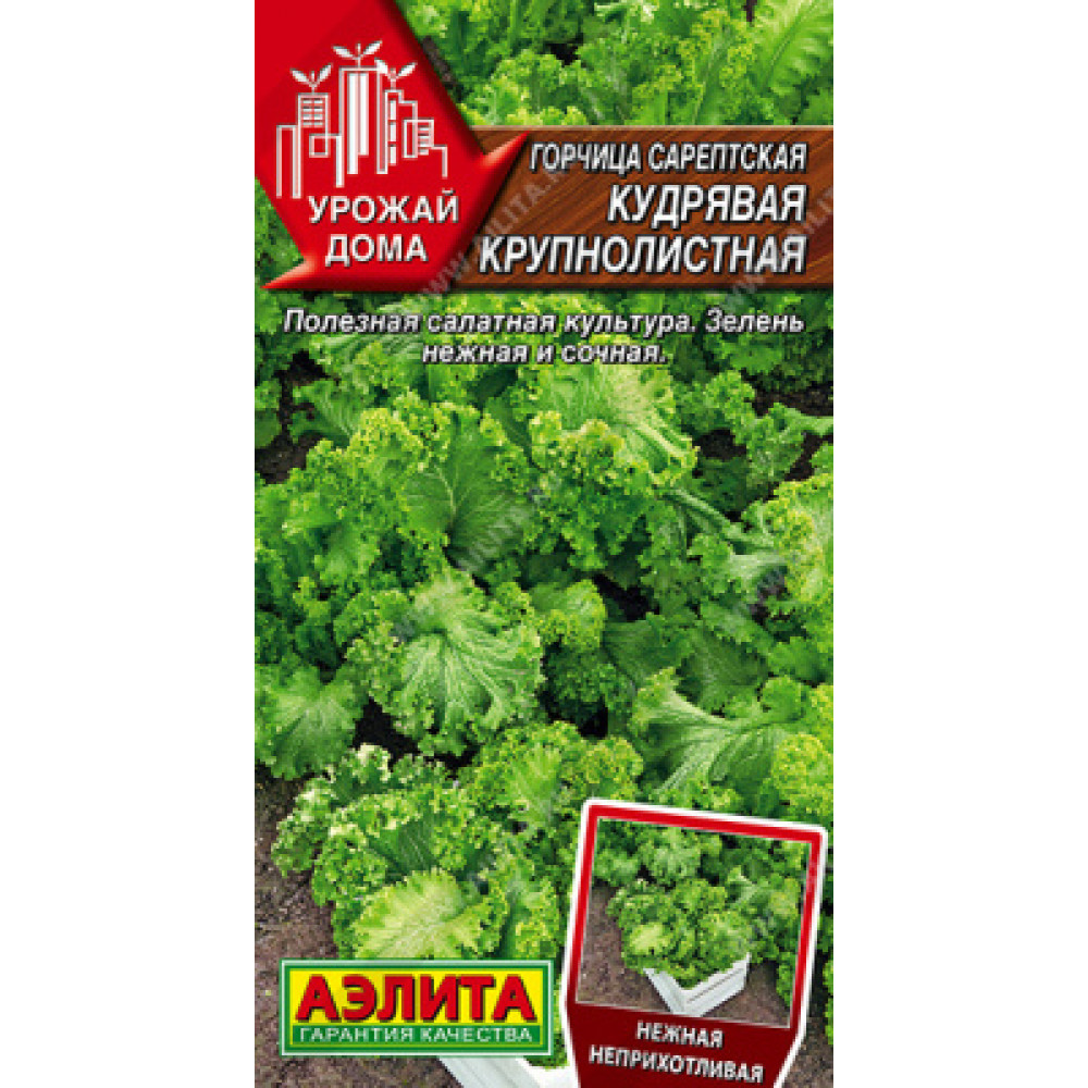 26afc347a6ec9dfbb9e69b153211e6dd-1000x1000 П Горчица салатная "Кудрявая крупнолистная" 0,5г Аэлита — изображение 1