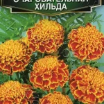 Цветы одн. Бархатцы "Очаровательная Хильда" 0,3г Аэлита