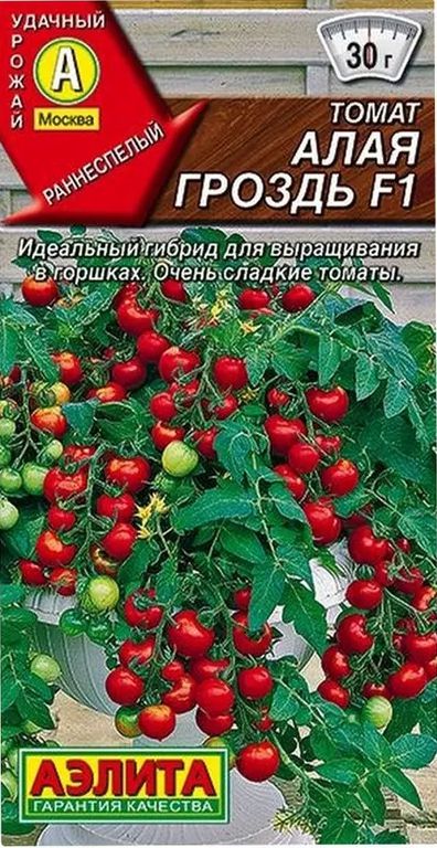 6500677915 Томат "Алая Гроздь F1" 10шт Аэлита — изображение 1