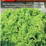 Салат "Волшебник полукочанный" 0,5г Аэлита