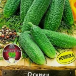 Огурец "Микрочип F1" 10шт Аэлита 