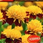 Цветы одн. Бархатцы "Махровый кулон" 0,3г Аэлита