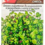 Салат "Леди Фит" беби смесь 0,5г Аэлита