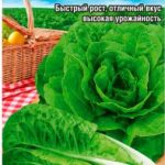 Салат "Ирбид F1" 20шт СС