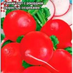 Редис "Майский Витамин" 2г СС