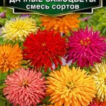 Цветы одн. Цинния "Дачные самоцветы" смесь 0,3г Аэлита