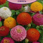 Цветы одн. Цинния "Лилипут" смесь окрасок 0,3г Аэлита