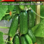 Огурец "Грин Кинг F1" 10шт Аэлита 