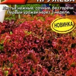 Салат "Ажурные кружева" 0,1г Аэлита 