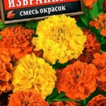 Цветы одн. Бархатцы "Избранник" отклоненные, смесь 0,3г Аэлита