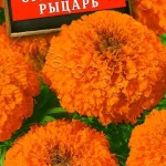 Цветы одн. Бархатцы "Оранжевый Рыцарь" 0,1г Аэлита
