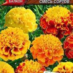 Цветы одн. Бархатцы "Хот Пак" смесь 5шт Аэлита